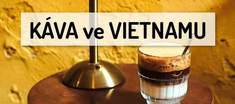 kava-vietnam