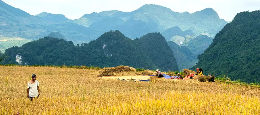 vietnam-cestovani-bez-cestovky-cao-bang