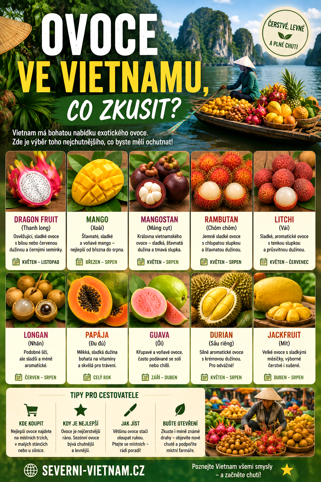 Ovoce ve Vietnamu – jaké exotické ovoce ochutnat Ovoce ve Vietnamu – mango, dragon fruit, mangostan, rambutan, liči, longan, papája, guava, durian a jackfruit